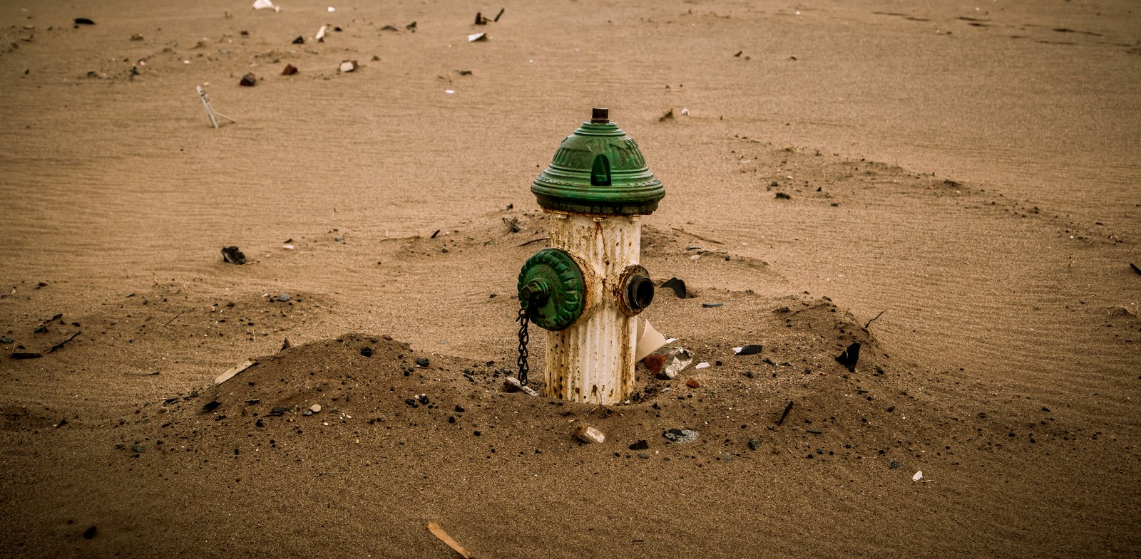 art-of-sandy-mo-staten island 2-13.jpg